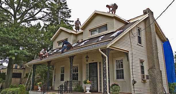 Best Metal Roofing Contractor  in Madison, AL