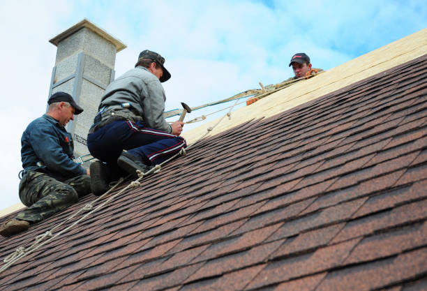 Best Metal Roofing Contractor  in Madison, AL